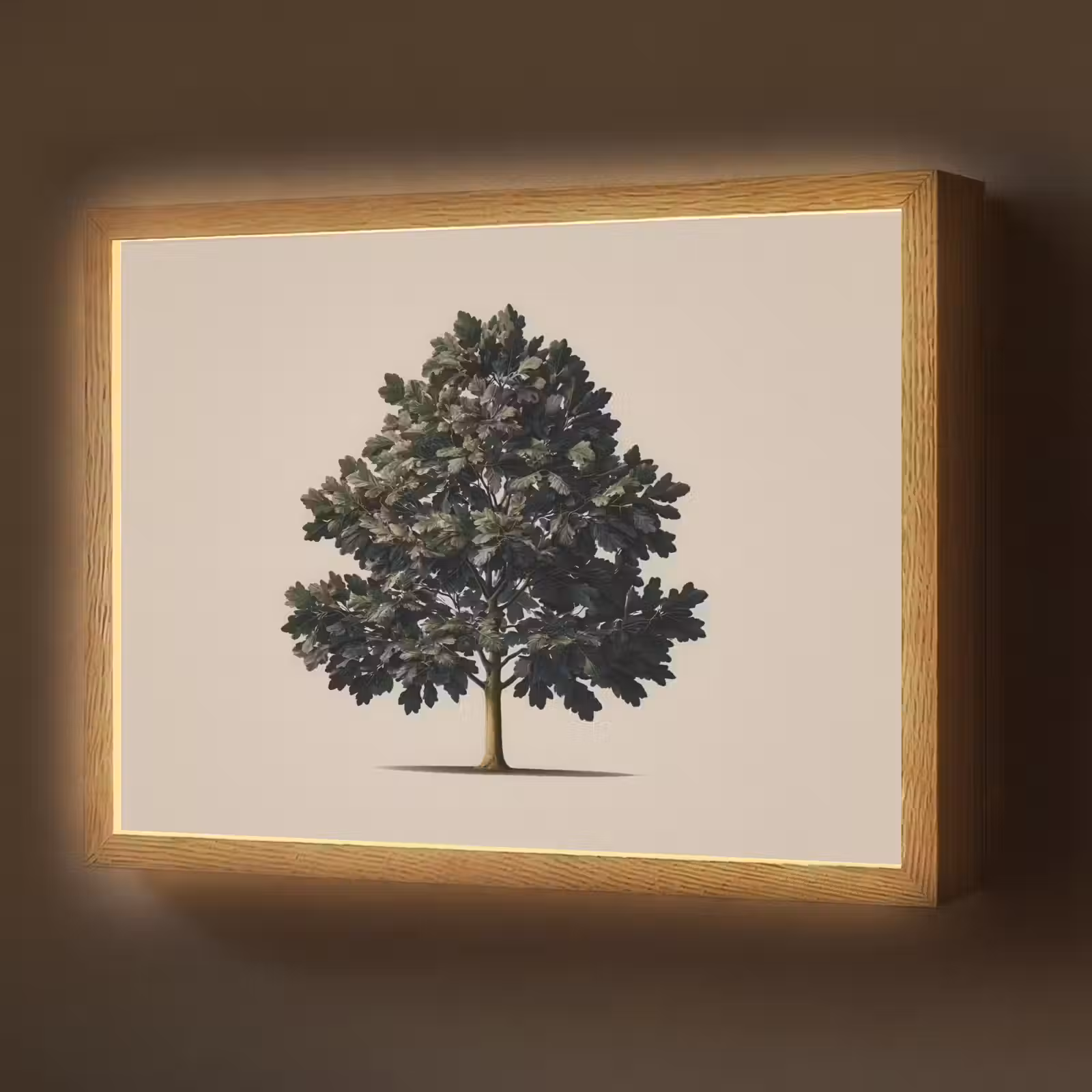 Lightbox - Wandlamp - Eikenboom - Schaduw - Egaal — 1