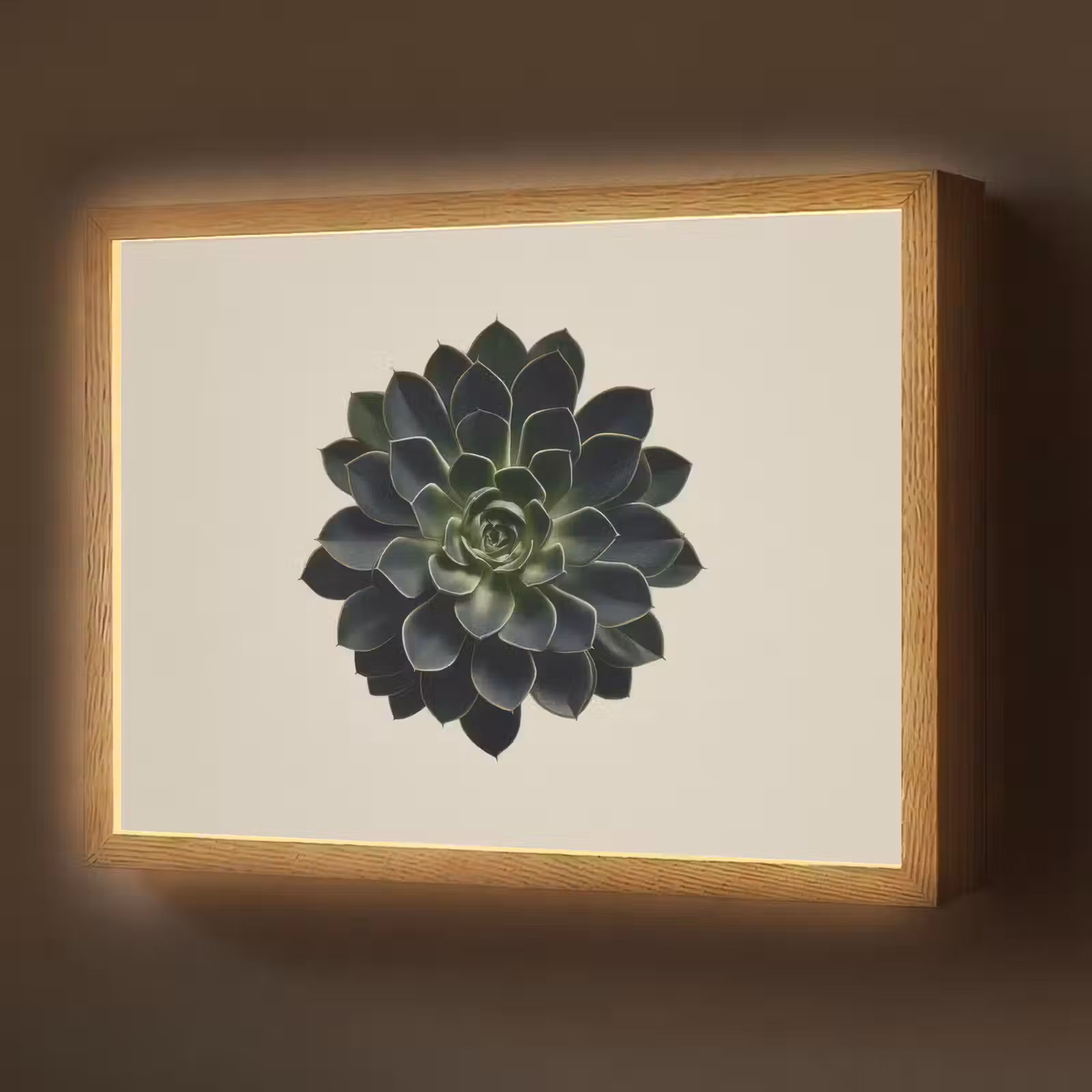Lightbox - Wandlamp - Rozet - Cirkelvormig - Donkergroen — 1