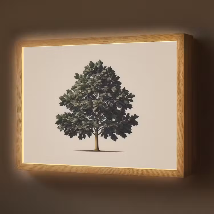 Lightbox - Wandlamp - Eikenboom - Schaduw - Egaal — 1