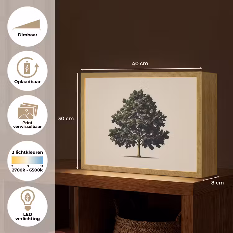 Lightbox - Wandlamp - Eikenboom - Schaduw - Egaal — 10