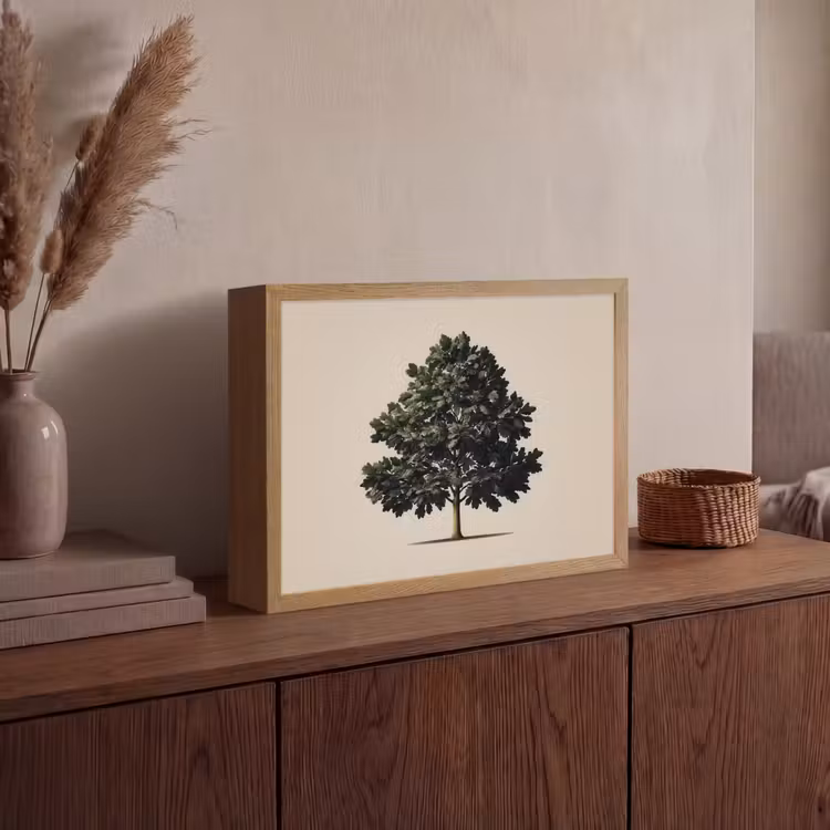 Lightbox - Wandlamp - Eikenboom - Schaduw - Egaal — 4
