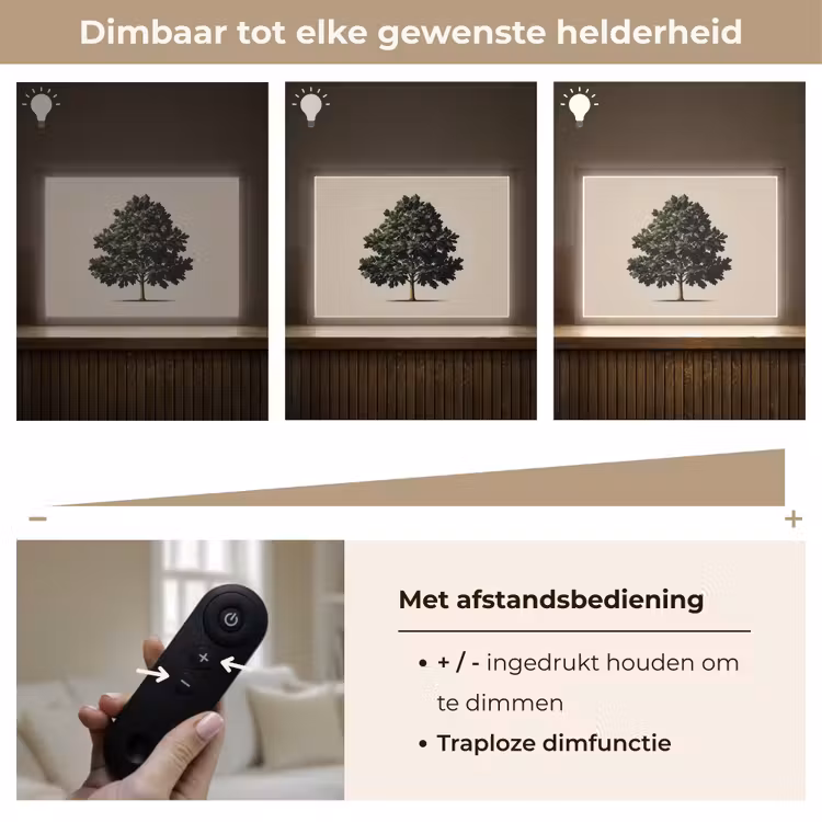 Lightbox - Wandlamp - Eikenboom - Schaduw - Egaal — 9