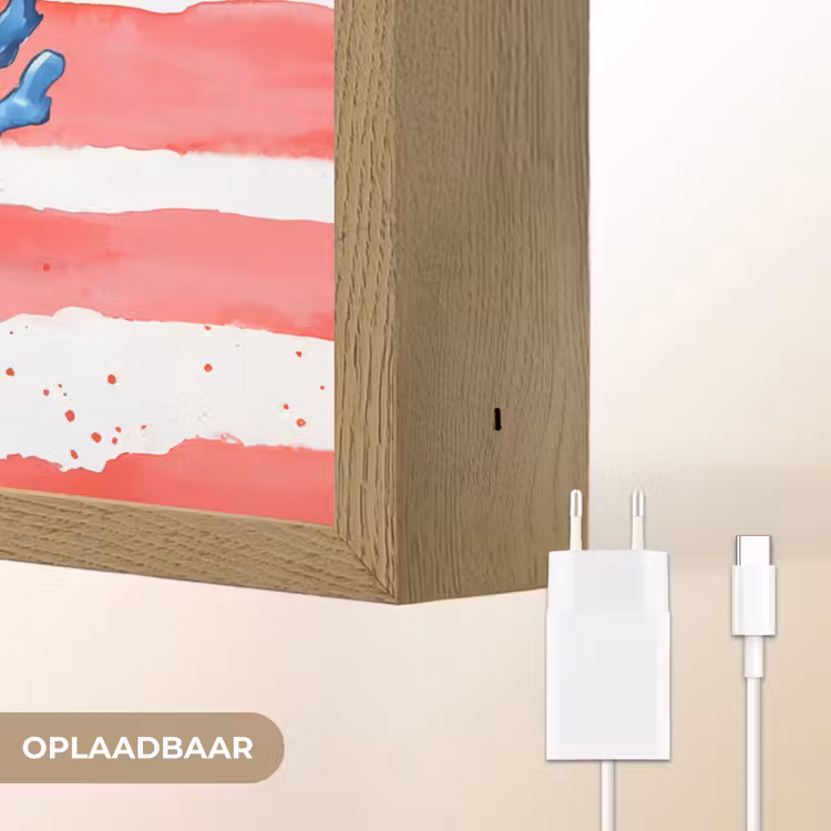 Lightbox - Wandlamp - Koraal - Verfstructuur - Rood - Blauw — 7