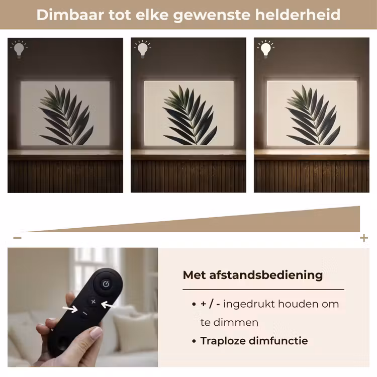 Lightbox - Wandlamp - Palmblad - Donkere bladen - Subtiel — 9