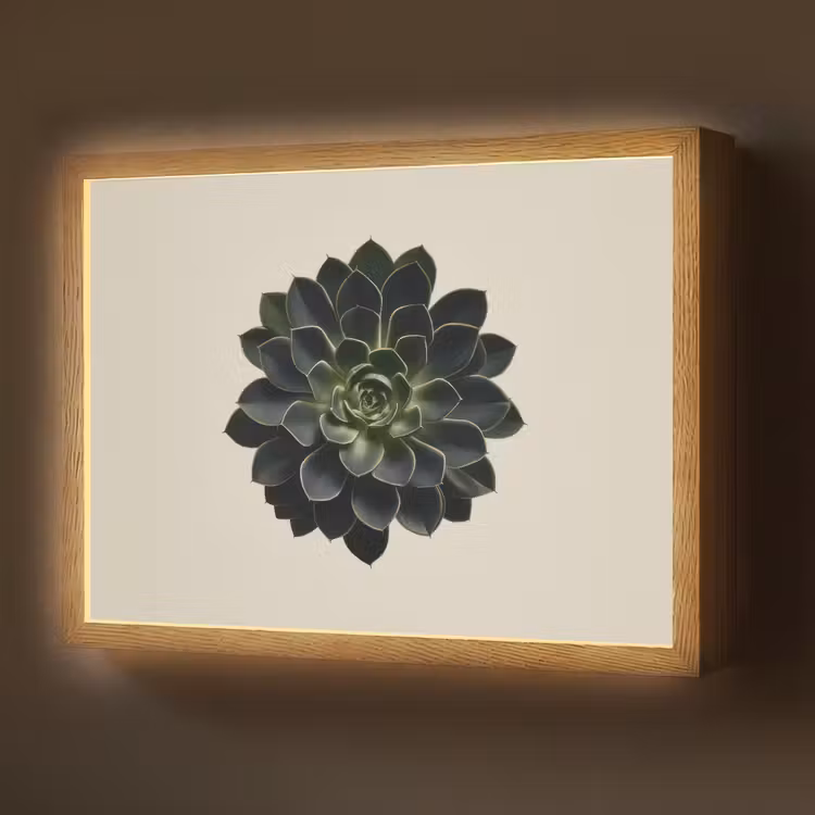 Lightbox - Wandlamp - Rozet - Cirkelvormig - Donkergroen — 1