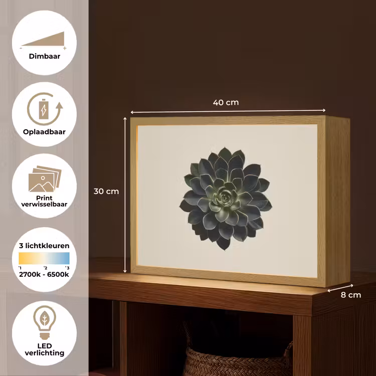 Lightbox - Wandlamp - Rozet - Cirkelvormig - Donkergroen — 10