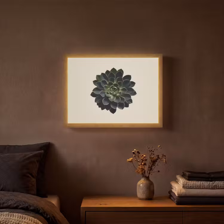 Lightbox - Wandlamp - Rozet - Cirkelvormig - Donkergroen — 3