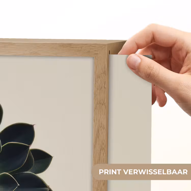 Lightbox - Wandlamp - Rozet - Cirkelvormig - Donkergroen — 5