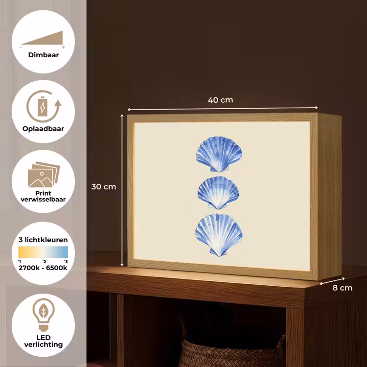 Lightbox - Wandlamp - Schelpen - Blauw - Beige — 10