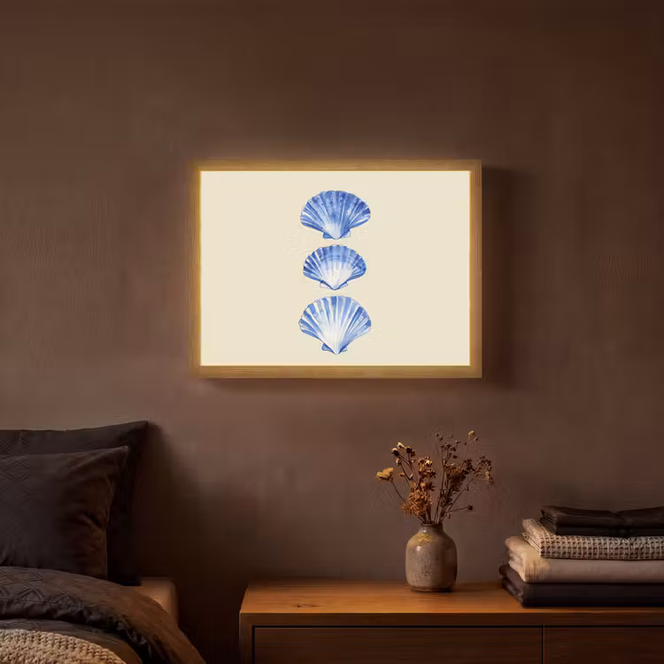 Lightbox - Wandlamp - Schelpen - Blauw - Beige — 3
