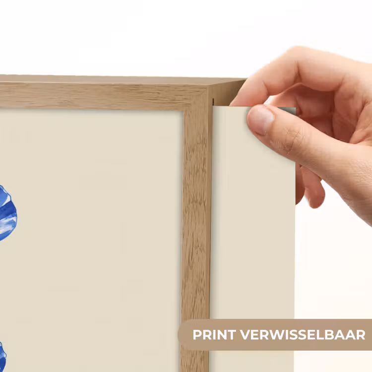 Lightbox - Wandlamp - Schelpen - Blauw - Beige — 5