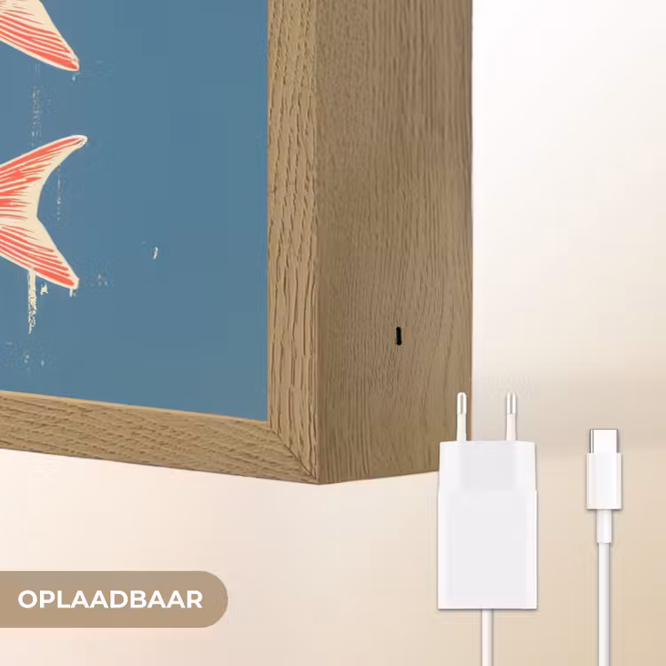 Lightbox - Wandlamp - Vissen - Rood - Blauw — 7