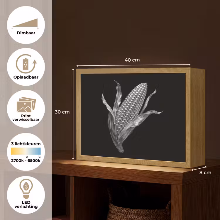 Lightbox - Wandlamp - Maïskolf - Glanzend metaal - Elegant — 10