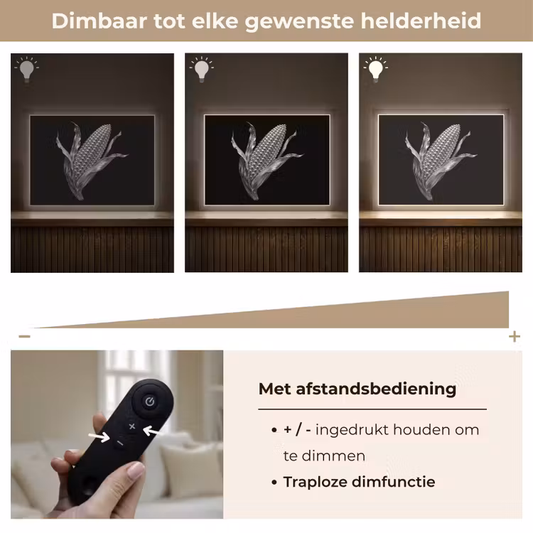 Lightbox - Wandlamp - Maïskolf - Glanzend metaal - Elegant — 9