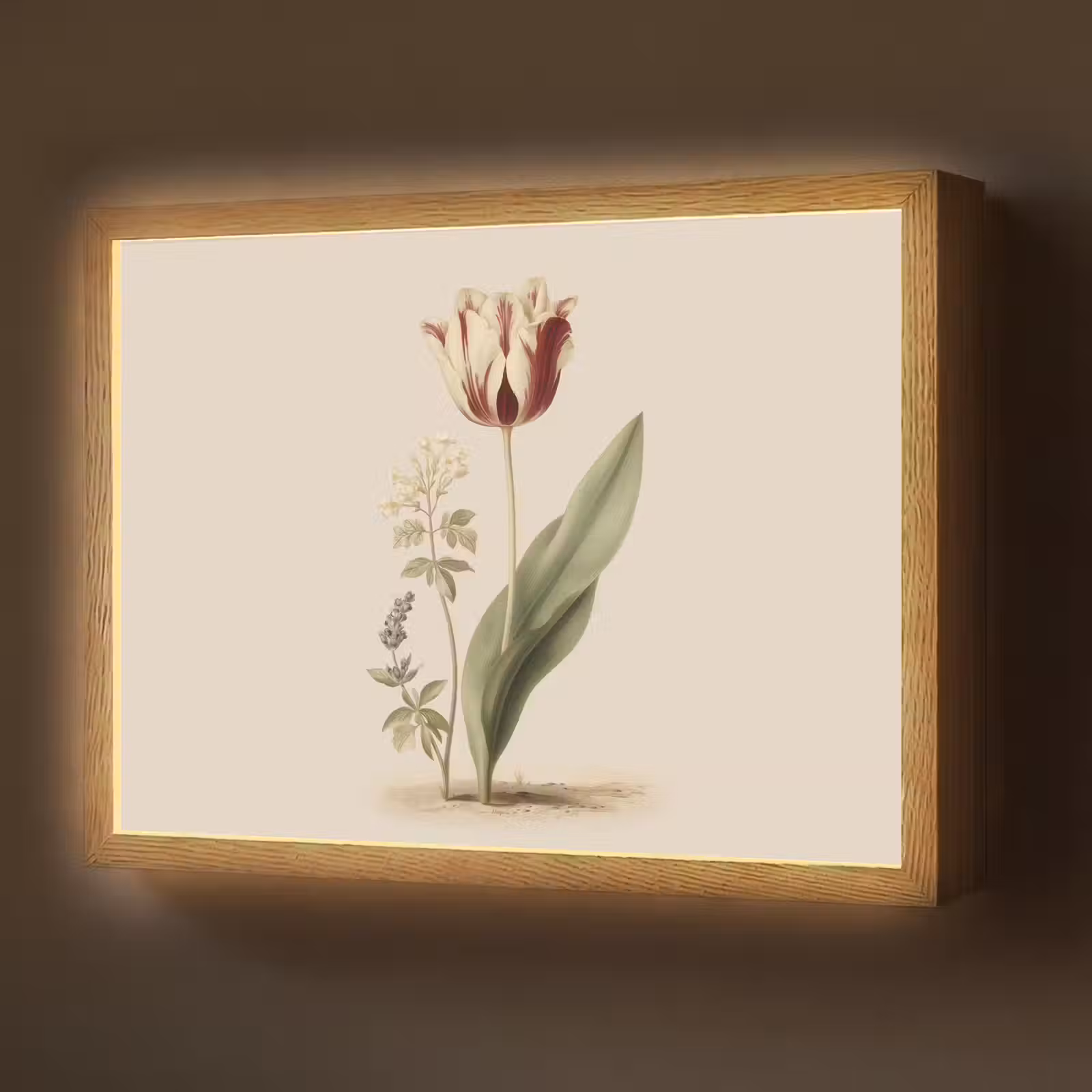 Lightbox - Wandlamp - Tulp - Minimalistisch - Beige — 1