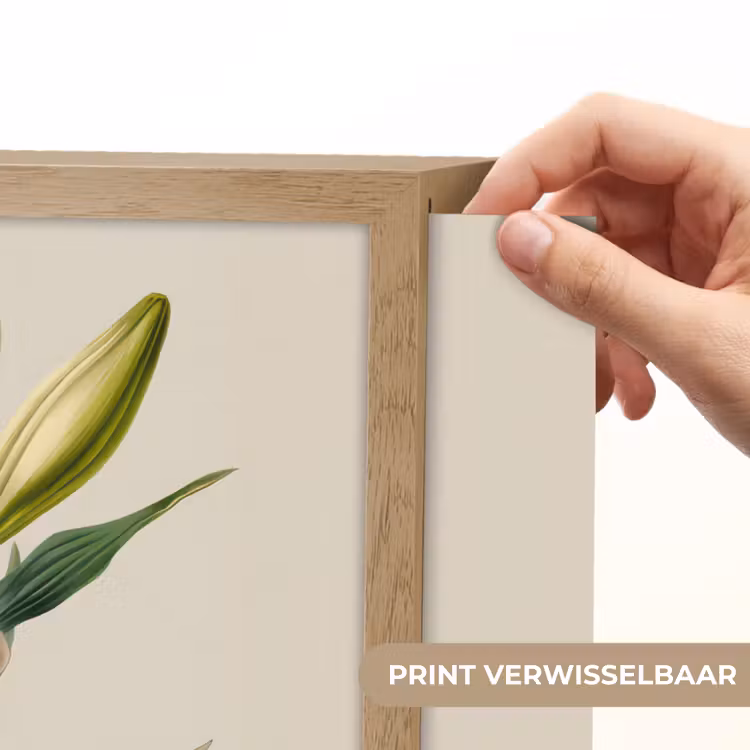 Lightbox - Wandlamp - Lelie - Elegant - Botanisch - Beige — 5