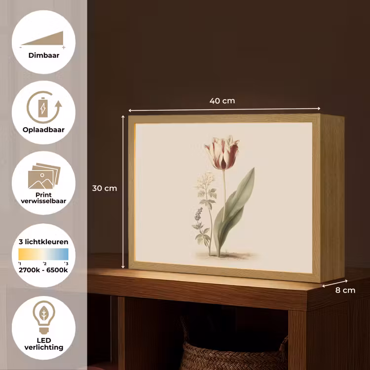 Lightbox - Wandlamp - Tulp - Minimalistisch - Beige — 10