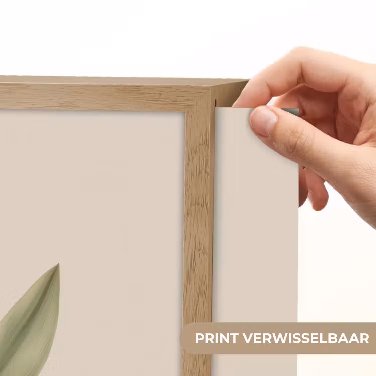 Lightbox - Wandlamp - Tulp - Minimalistisch - Beige — 5
