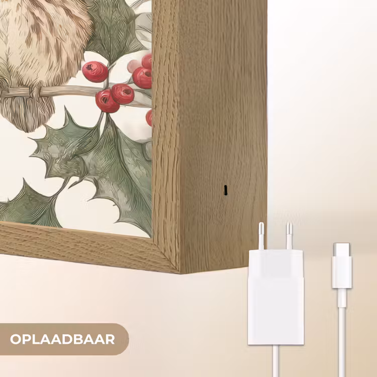 Lightbox - Wandlamp - Uilen - Tak - Hulstblaadjes - Kerstmuts — 7