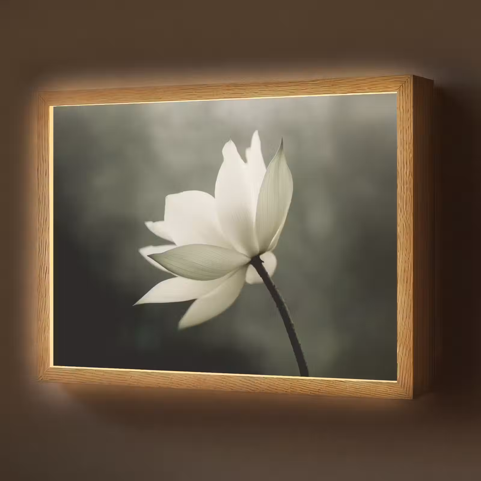 Lightbox - Wandlamp - Wit - Lotus - Donker - Bloem — 1