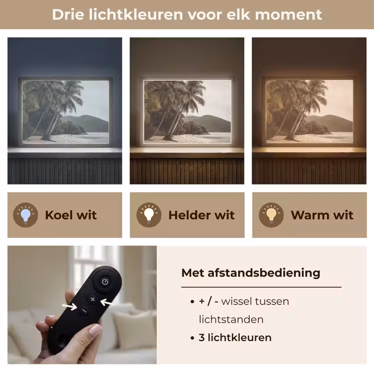 Lightbox - Wandlamp - Eiland - Palmboom - Zee — 8