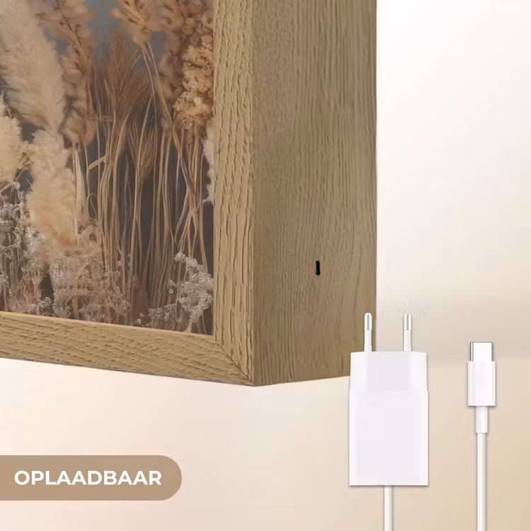 Lightbox - Wandlamp - Gedroogde Veldbloemen - Grijs - Beton — 7