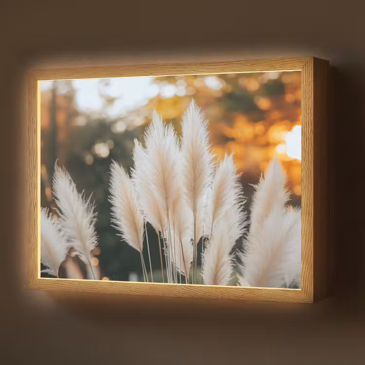 Lightbox - Wandlamp - Pampasgras - Pluimen - Sierlijk — 1