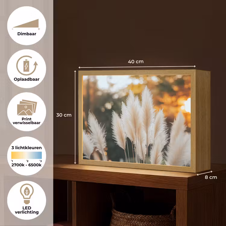 Lightbox - Wandlamp - Pampasgras - Pluimen - Sierlijk — 10