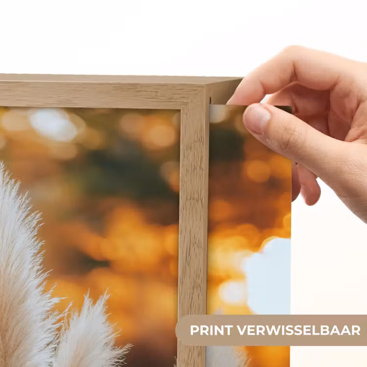 Lightbox - Wandlamp - Pampasgras - Pluimen - Sierlijk — 5