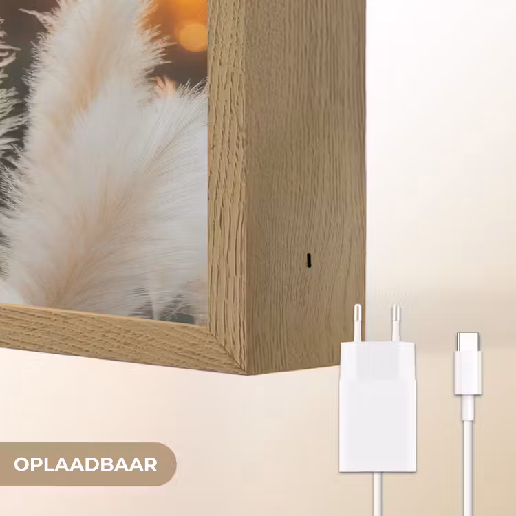 Lightbox - Wandlamp - Pampasgras - Pluimen - Sierlijk — 7