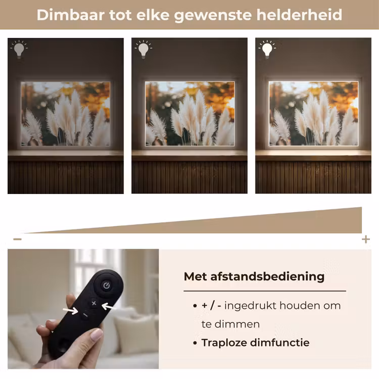 Lightbox - Wandlamp - Pampasgras - Pluimen - Sierlijk — 9