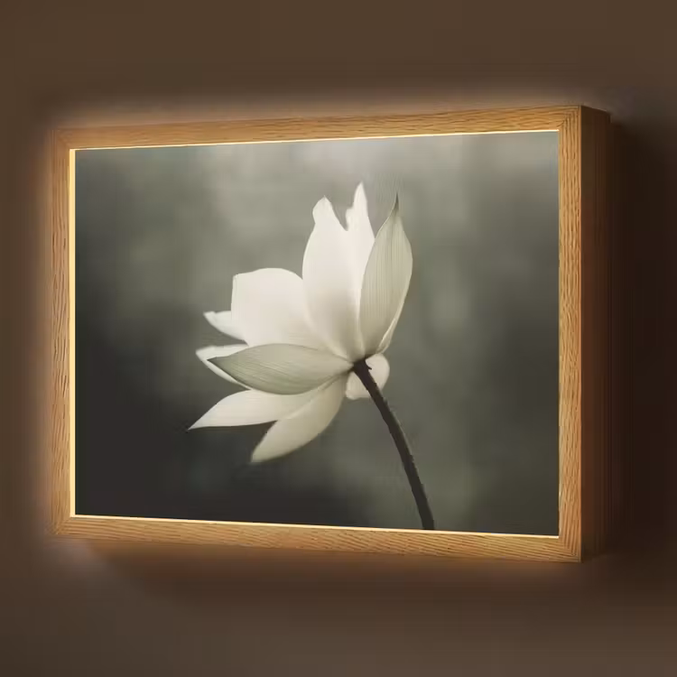 Lightbox - Wandlamp - Wit - Lotus - Donker - Bloem — 1