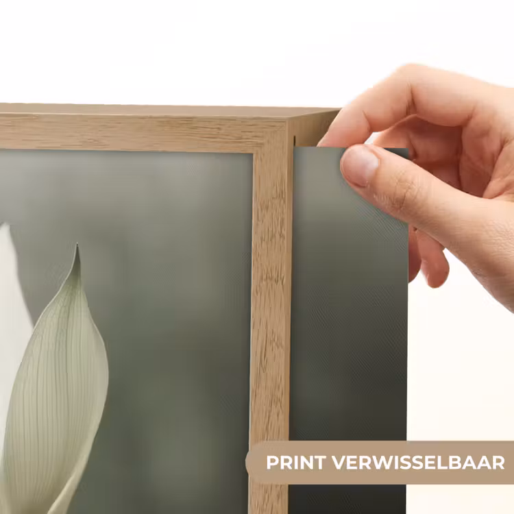Lightbox - Wandlamp - Wit - Lotus - Donker - Bloem — 5