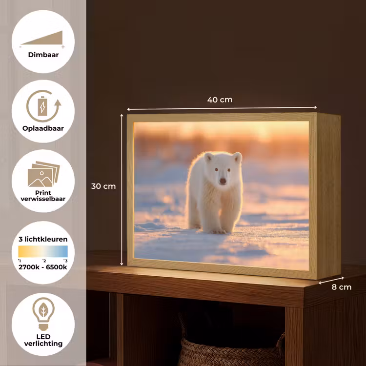 Lightbox - Wandlamp - Ijsbeer - Sneeuw - Zonsopgang — 10