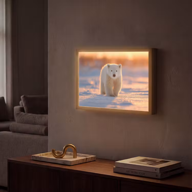 Lightbox - Wandlamp - Ijsbeer - Sneeuw - Zonsopgang — 2