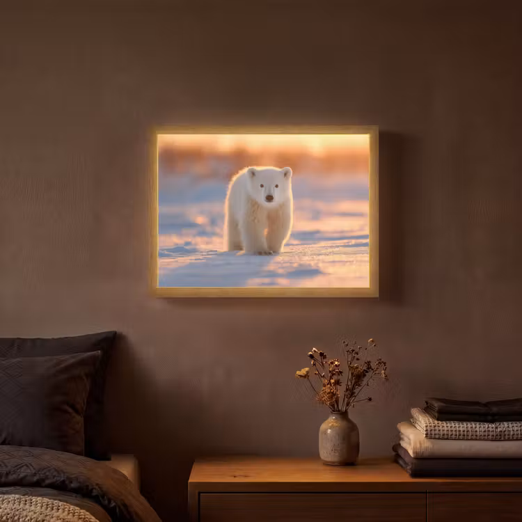 Lightbox - Wandlamp - Ijsbeer - Sneeuw - Zonsopgang — 3