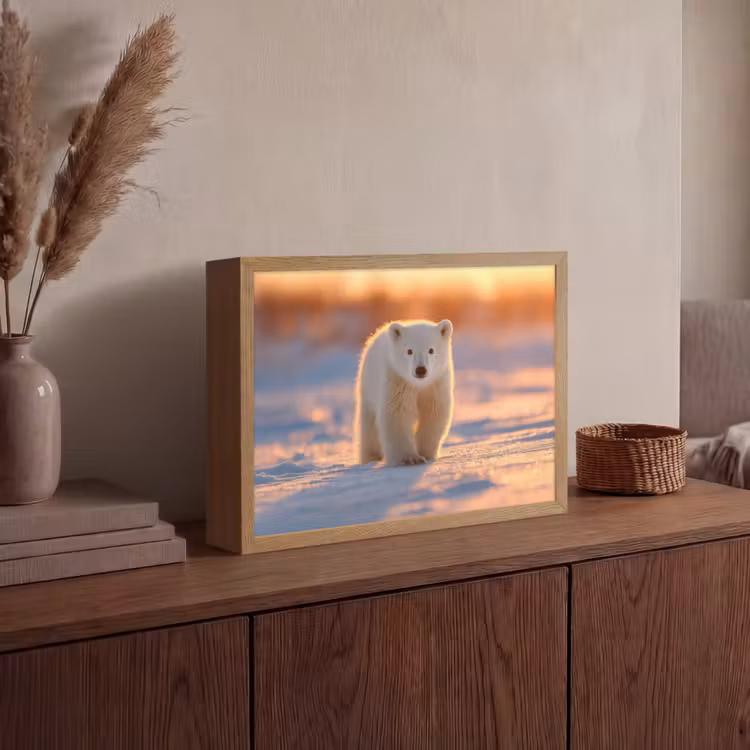 Lightbox - Wandlamp - Ijsbeer - Sneeuw - Zonsopgang — 4