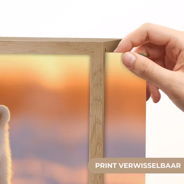 Lightbox - Wandlamp - Ijsbeer - Sneeuw - Zonsopgang — 5