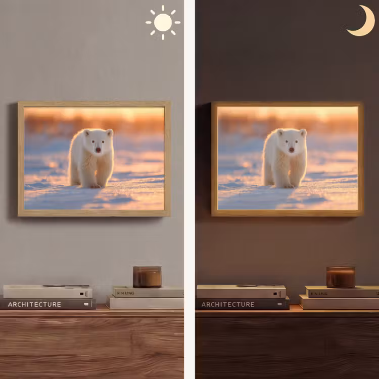 Lightbox - Wandlamp - Ijsbeer - Sneeuw - Zonsopgang — 6