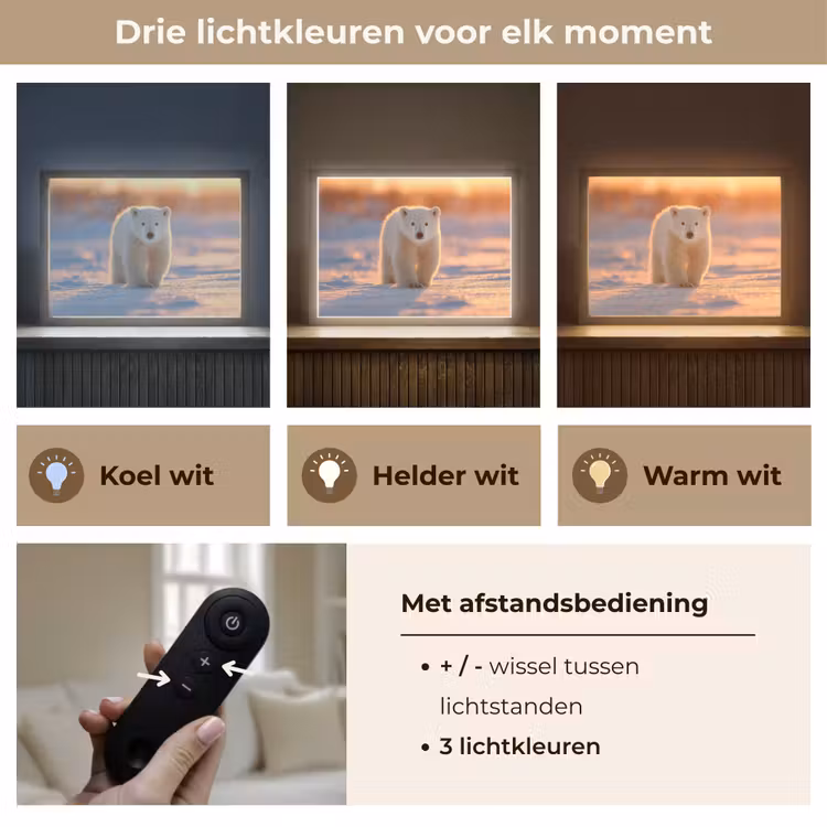 Lightbox - Wandlamp - Ijsbeer - Sneeuw - Zonsopgang — 8