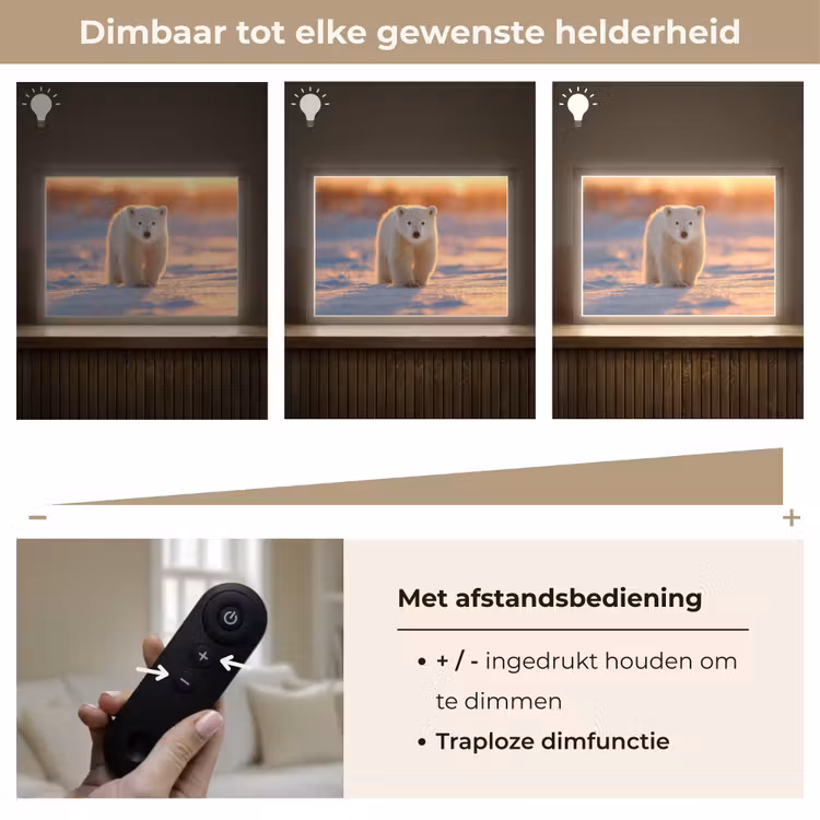Lightbox - Wandlamp - Ijsbeer - Sneeuw - Zonsopgang — 9