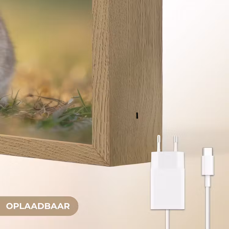 Lightbox - Wandlamp - Konijntje - Bruin - Gras — 7