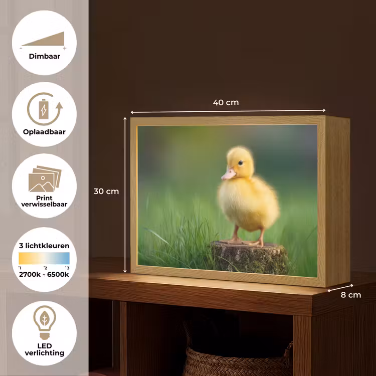 Lightbox - Wandlamp - Kuiken - Eend - Geel - Gras — 10