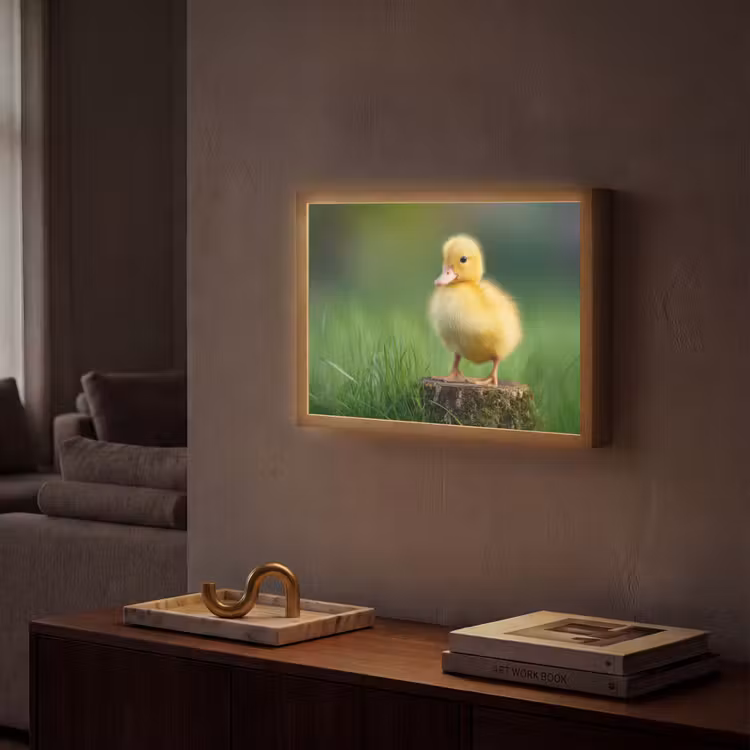 Lightbox - Wandlamp - Kuiken - Eend - Geel - Gras — 2