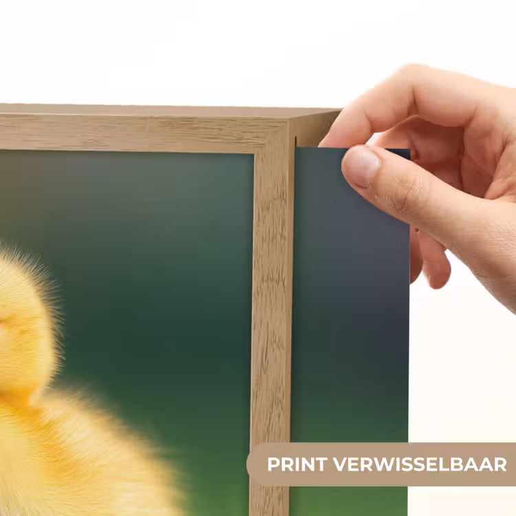 Lightbox - Wandlamp - Kuiken - Eend - Geel - Gras — 5