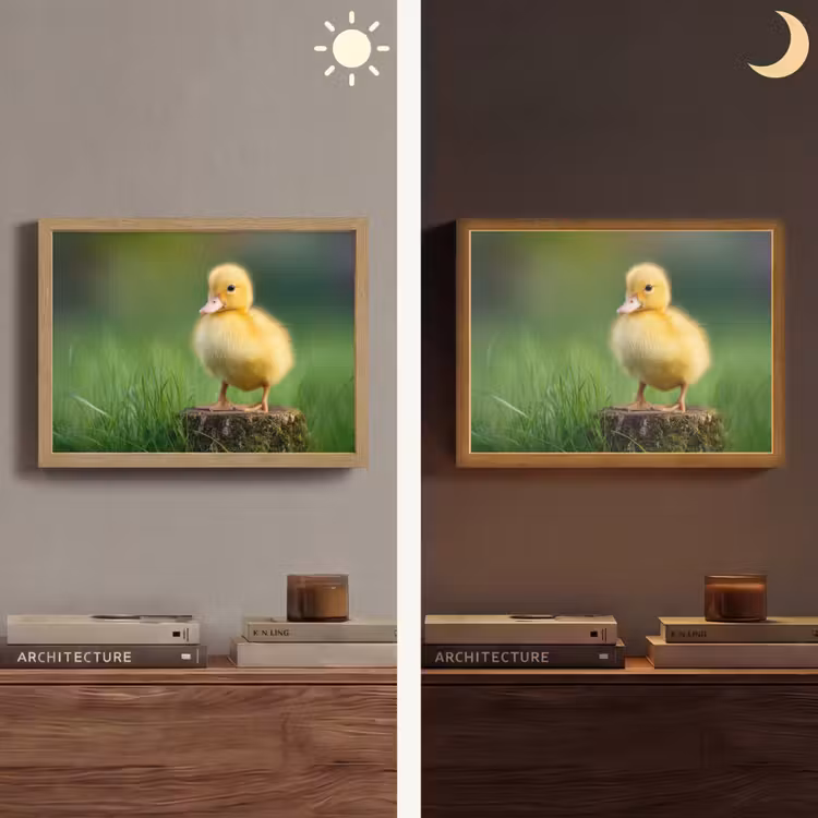 Lightbox - Wandlamp - Kuiken - Eend - Geel - Gras — 6
