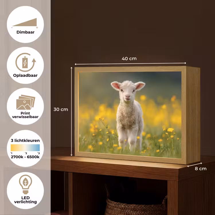 Lightbox - Wandlamp - Lammetje - Gras - Bloemen - Geel — 10