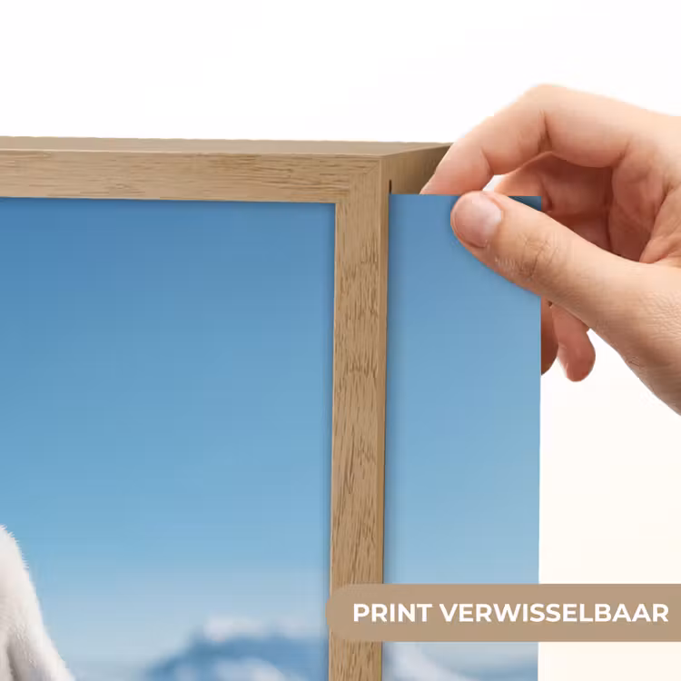 Lightbox - Wandlamp - Pinguïn - Sneeuw - Landschap - Wit — 5