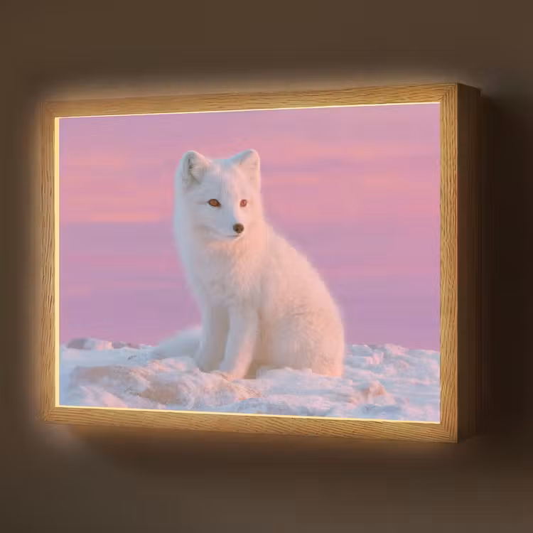 Lightbox - Wandlamp - Poolvos - Sneeuw - Roze — 1