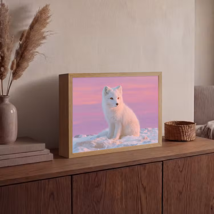 Lightbox - Wandlamp - Poolvos - Sneeuw - Roze — 4